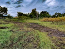 20190901_20190901_063354